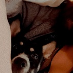 alissrodriguez (ALISS_Ro) free OnlyFans Leaked Pictures & Videos 

 profile picture