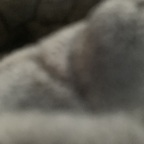 Onlyfans leak alkibeach87 

 profile picture