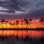 allday808 OnlyFans Leaked Photos and Videos 

 profile picture