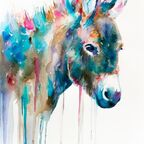 apricotdonkey (BB) OnlyFans Leaks 

 profile picture