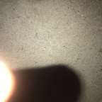 Onlyfans leaked asianspade 

 profile picture