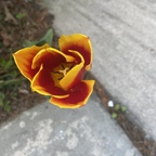 babydoll360 (C3841) free OnlyFans Leaked Videos and Pictures 

 profile picture