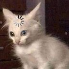 batux OnlyFans Leaked 

 profile picture