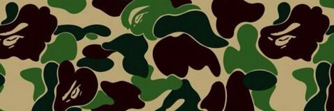 Header of brison