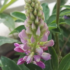 brzoskwinia OnlyFans Leaked 

 profile picture