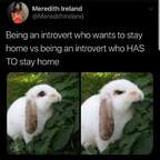 Download bunnybums OnlyFans leaks for free 

 profile picture