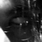 cl0wn (Cløwn) OnlyFans Leaked Videos and Pictures 

 profile picture