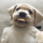 Download couldhavebeentheone OnlyFans content for free 

 profile picture