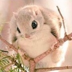 cuntnugget (Richard Dezmen) OnlyFans content 

 profile picture