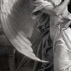cupidscherry (Cupid's Cherry) free OnlyFans Leaked Content 

 profile picture