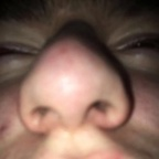 dakotafrfr (Ski) free OnlyFans Leaked Content 

 profile picture