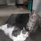 Onlyfans leak davkdgreytheonly1 

 profile picture