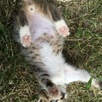 deniii (eu denii) OnlyFans Leaked Videos and Pictures 

 profile picture