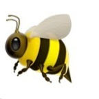 donnabee (Donna) OnlyFans Leaks 

 profile picture