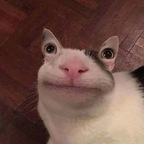 emelyxo OnlyFans Leaks 

 profile picture