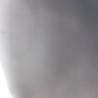 erharda OnlyFans Leaked Photos and Videos 

 profile picture