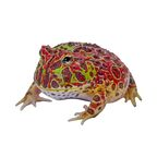me @froggo123 Leak OnlyFans 

 profile picture