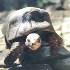 jonjinx OnlyFans Leaked 

 profile picture
