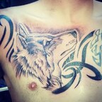 Kortgriffin @korgriffin Leaked OnlyFans 

 profile picture