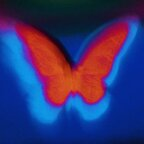 Onlyfans leak leovenus 

 profile picture