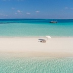 Download maldives OnlyFans videos and photos for free 

 profile picture