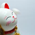 Onlyfans leaked meringue 

 profile picture