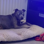 misscc (Char) OnlyFans Leaked Pictures and Videos 

 profile picture