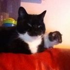 Kerry 35 @missyk Leaks OnlyFans 

 profile picture