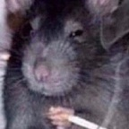 Onlyfans leak molotov_cockteez 

 profile picture