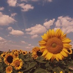 Onlyfans leaked muayly 

 profile picture