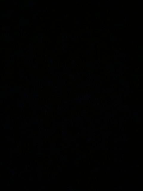 Header of nikiibooty7