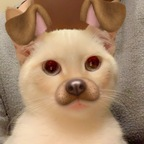 n00nz (noonz) Leak OnlyFans 

 profile picture