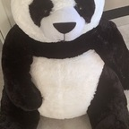 pandasticpron OnlyFans Leaked 

 profile picture