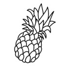 Download pineappleone OnlyFans leaks for free 

 profile picture