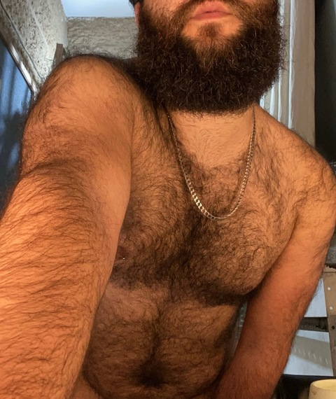 Header of pocketbear27
