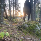 Download scarlettnight66 OnlyFans content for free 

 profile picture