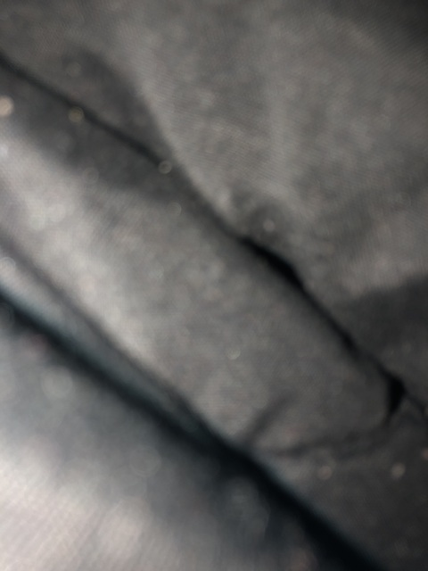 Header of shanalit