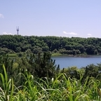 Free access to shiba Leaks OnlyFans 

 profile picture