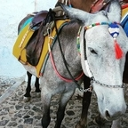 u9366069 solano Leaked OnlyFans 

 profile picture