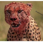 Onlyfans leak stroh 

 profile picture