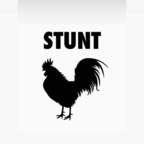 Download stunttcock OnlyFans videos and photos for free 

 profile picture