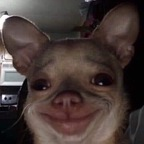 throatpoker69 OnlyFans Leaks 

 profile picture