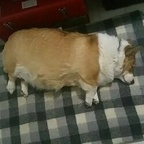 tisua OnlyFans Leaked 

 profile picture