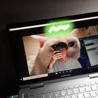 YOON (whyrano) Leaked OnlyFans 

 profile picture