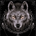 Onlyfans leaks wolfie 

 profile picture