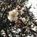 Onlyfans leaks yukiyuki 

 profile picture