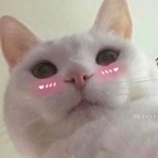 Onlyfans leaks zaeann 

 profile picture